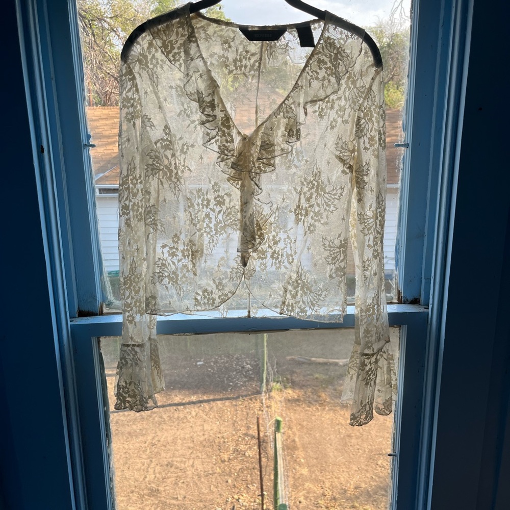Express sheer off white lace v-neck flutter with long bell sleeve.